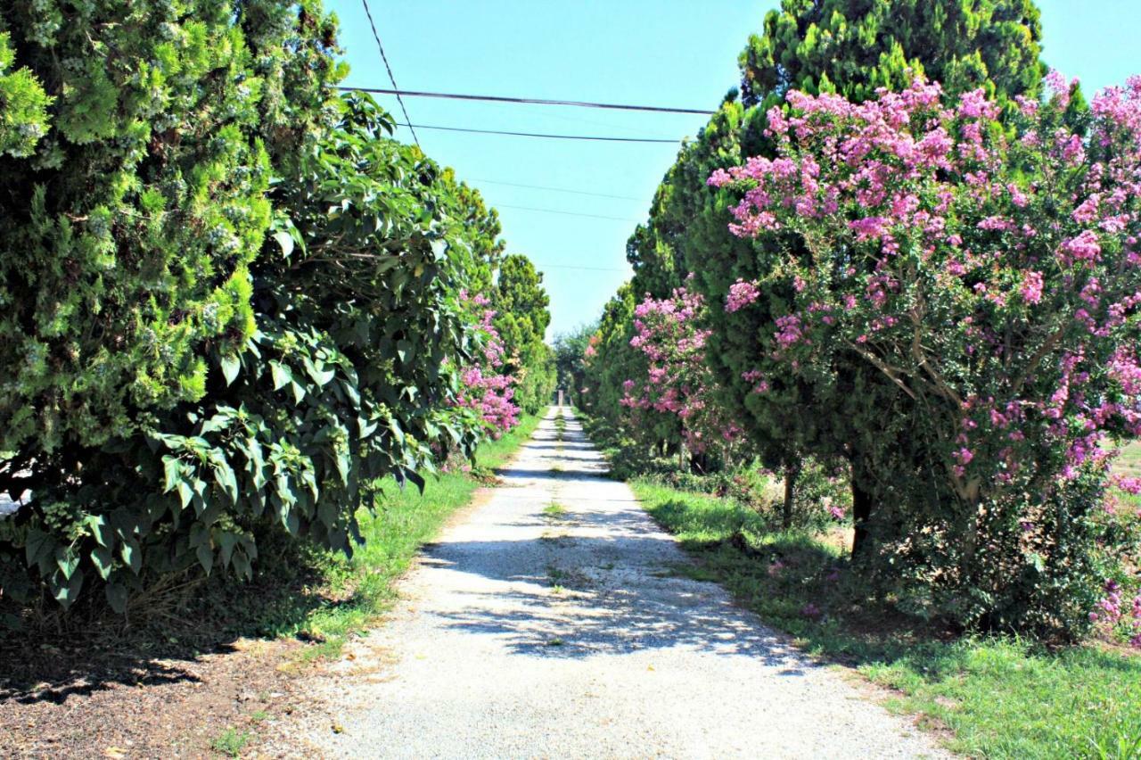 B&B Villa Paolida, Aceto Balsamico & Acetaia Antica Nonantola Extérieur photo